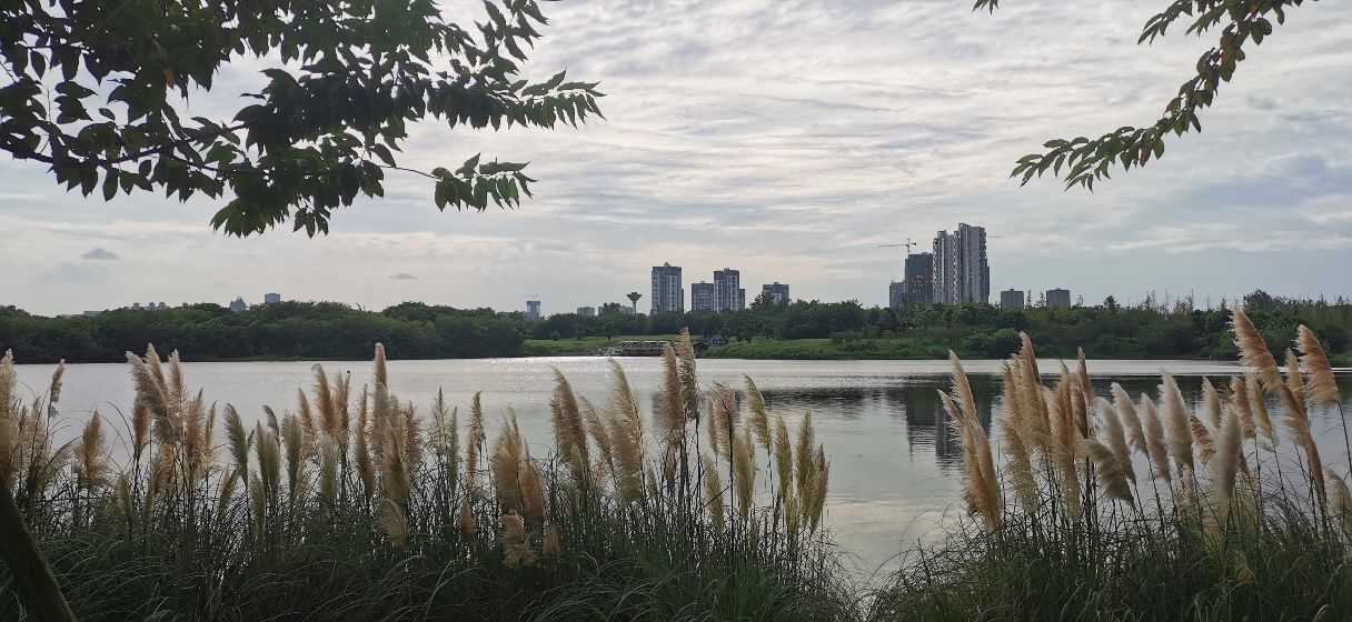 成都青龙湖公园门票,成都青龙湖公园地址