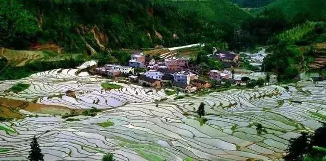 广州周末踏青好去处人少的地方,适合清明踏青的地方广州有哪些