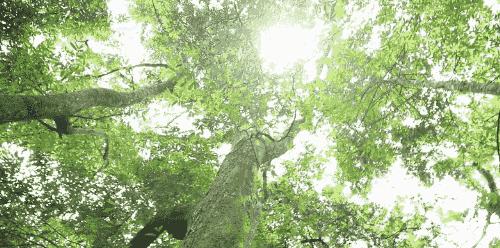 巴马是上天遗落人间的一块净土,上天遗落人间的美景