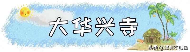 深圳完全免费的十大景点,深圳10大免费景点上集