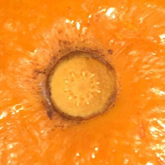 10个让人震惊的冷知识,最有趣的10条冷知识点