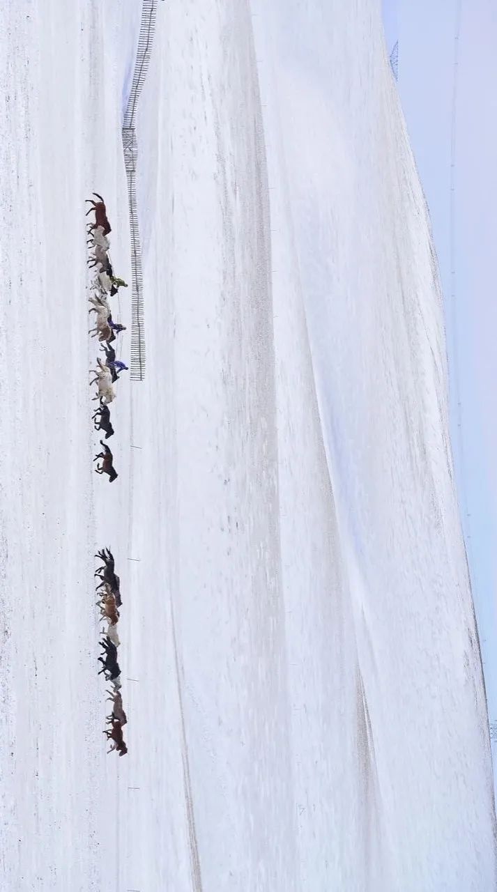 青白江不修地铁是真的吗,青白江不通地铁是地理原因吗