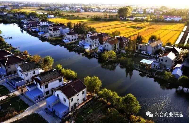 2021回乡见闻录全部视频,2023返乡见闻