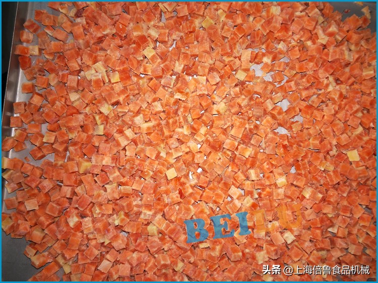 猪丁的图片,猪丁图片