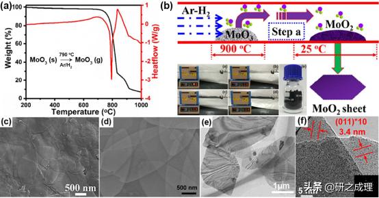周伟家研究进展:MoO2纳米片及钼衍生物在能源转化与存储中的应用