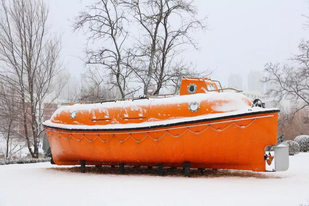 大连海事大学和辽宁省哪个级别高,大连海事大学辽宁省大学排名