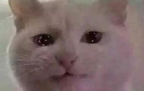 考证路上独自前行,考证二建