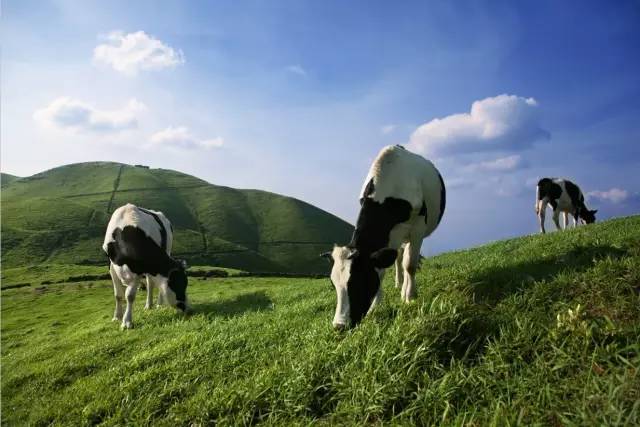 女神节礼物正在配送,江西明月山女神节免票活动开启