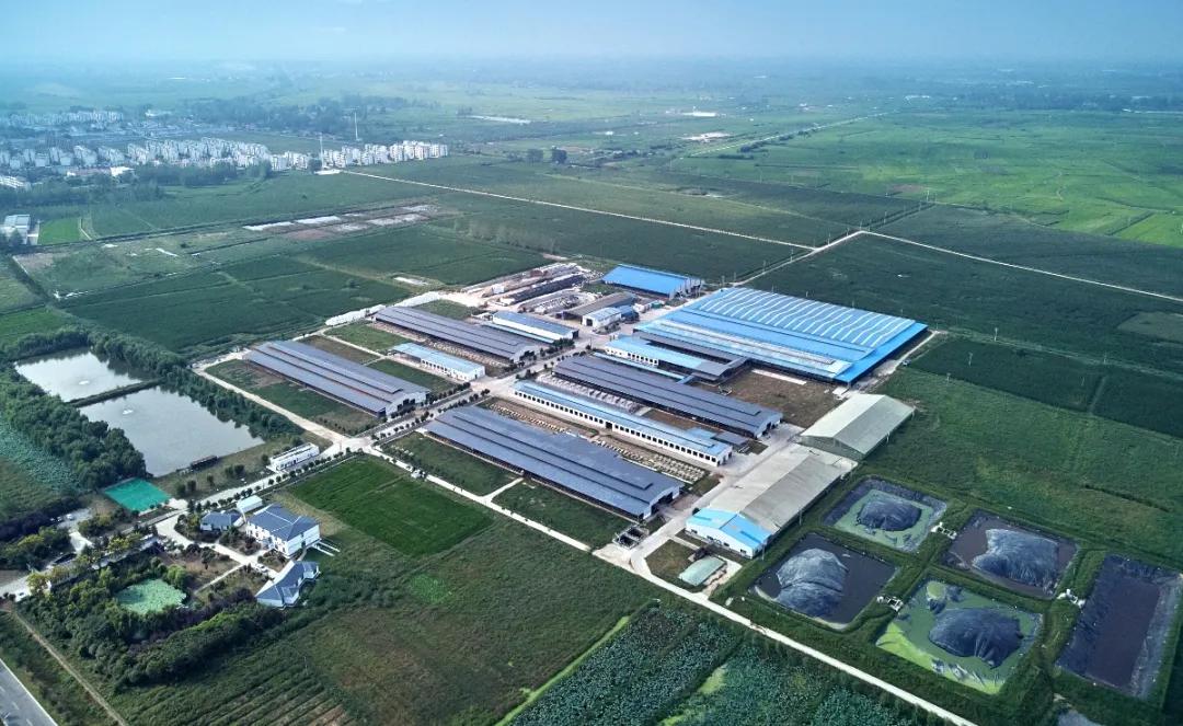 浓浓奶香,中华老字号卫岗