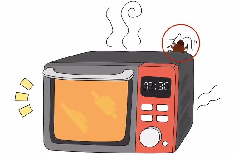 蟑螂卵都不剩的灭蟑方法,彻底消灭蟑螂老窝