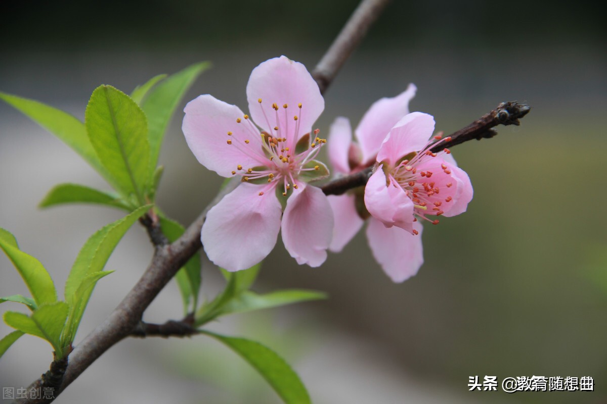 电摩中途没电怎么解决,车子中途没电了怎么办