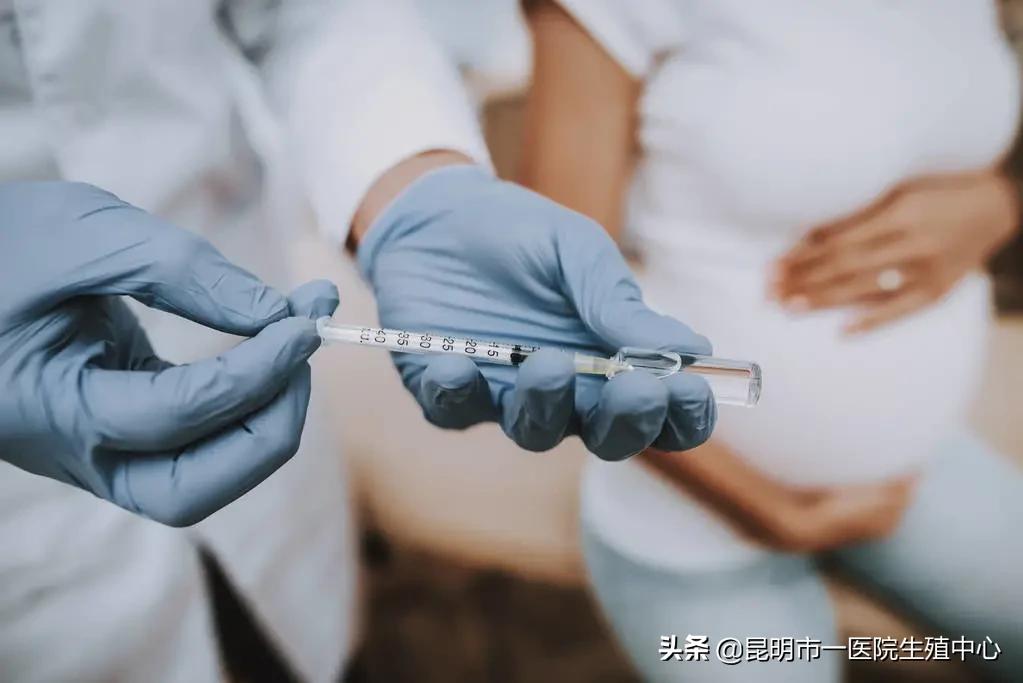 试管怀孕产检项目明细表,孕检全部项目