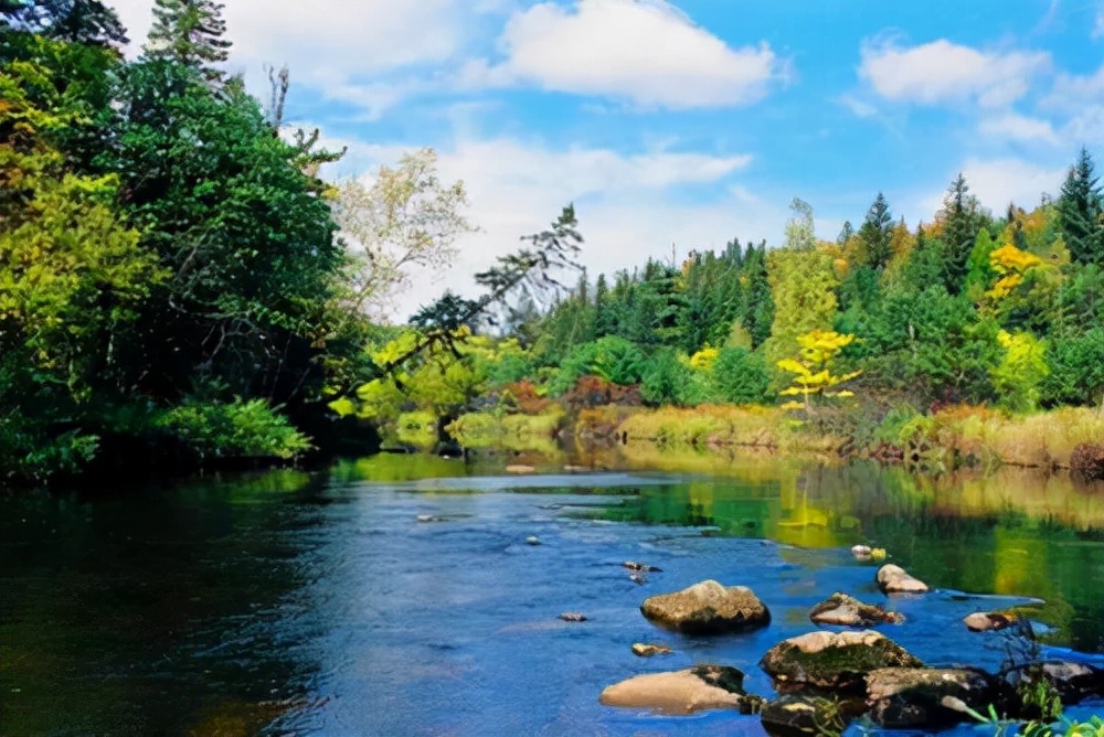 哈尔滨一座震撼人心灵的城市,哈尔滨美丽且温暖的城市