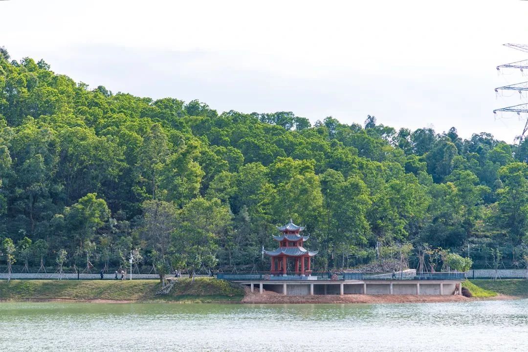 最美湖泊小众风景,最美湖泊西湖