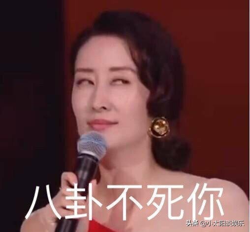 乘风破浪的姐姐有什么变化,乘风破浪的姐姐是什么意思