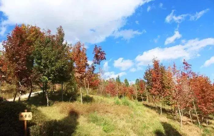 好消息昆明7个公园免费开放,昆明市好消息