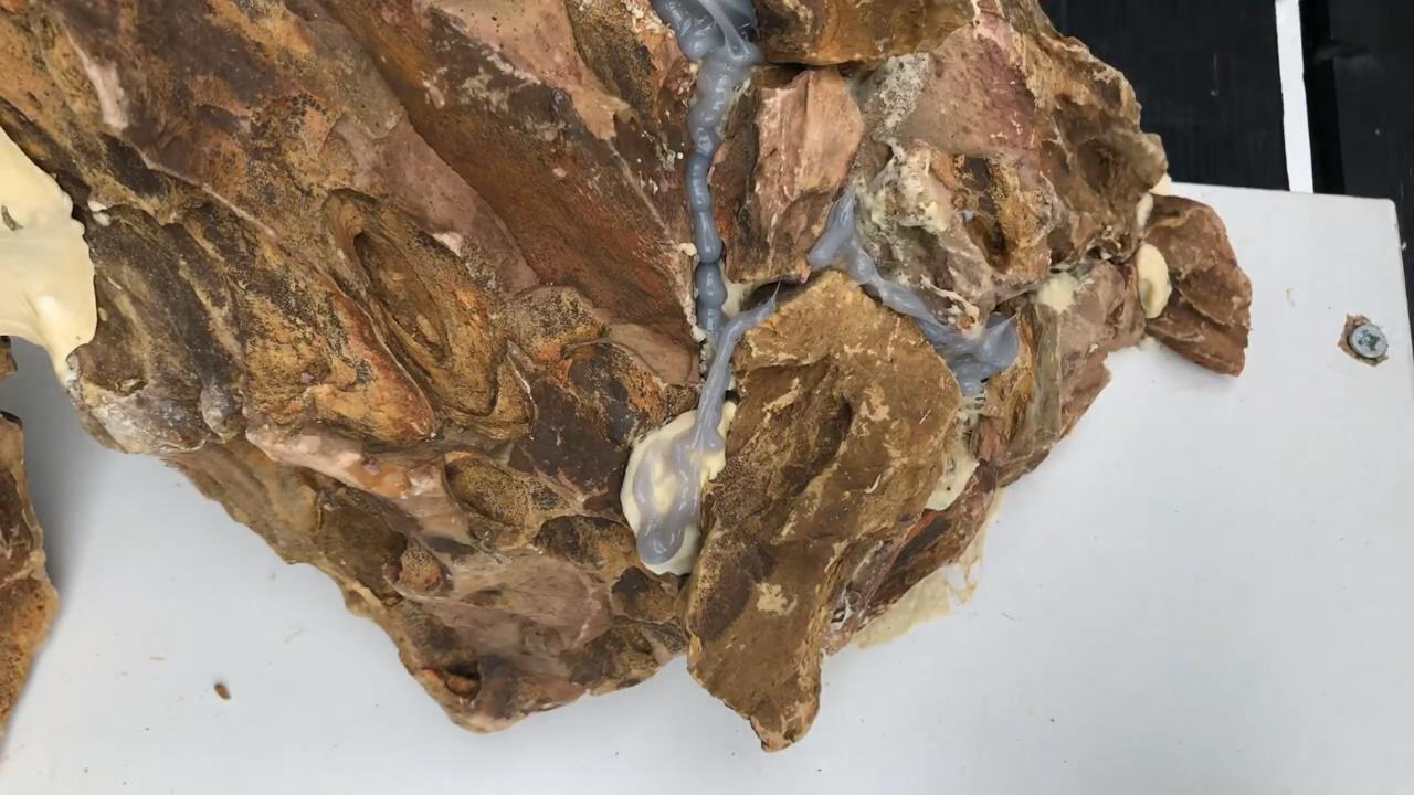 小草缸造景入门水草基本知识,小型草缸造景入门水草基本知识