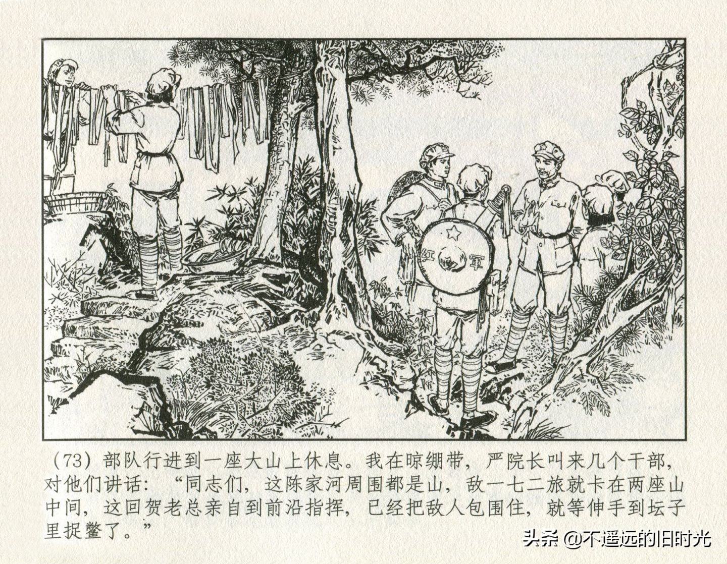 朝阳花-上海人民美术出版社1981初版2016再版陆成法陆小弟绘