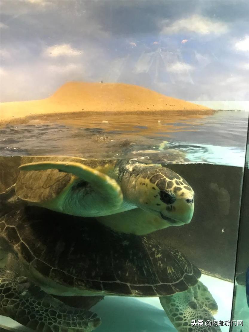 海洋量子号福冈熊本,海洋量子号邮轮游日本攻略