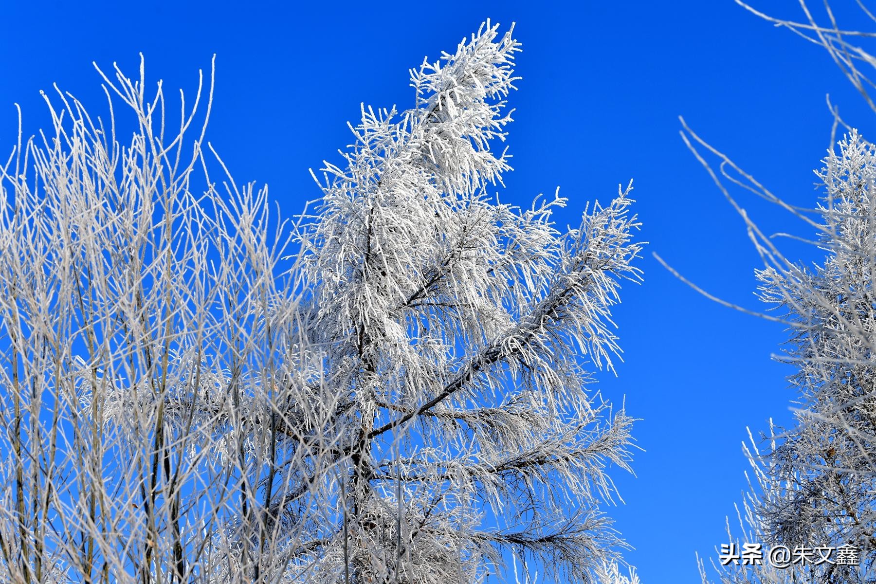 吉林柳河下雪,吉林省通化市柳河