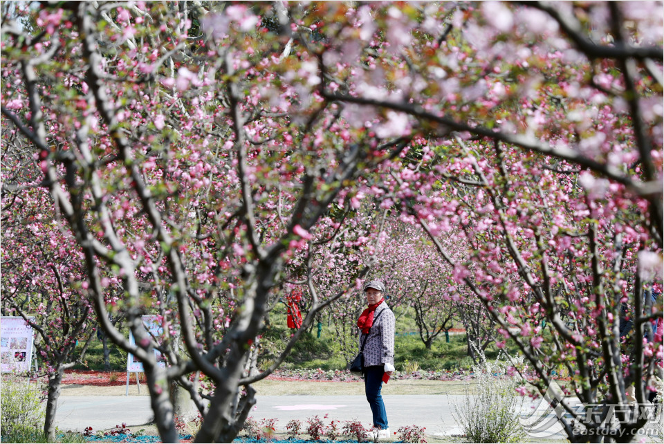 黄兴公园四季特色,黄兴公园美景
