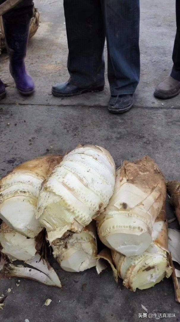 适合这个季节吃的笋,什么笋最适合春天吃