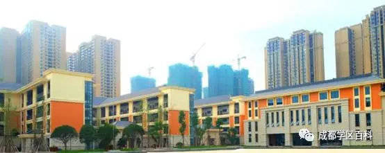 成都高新大源学校初中排名,高新区大源片区学校排名