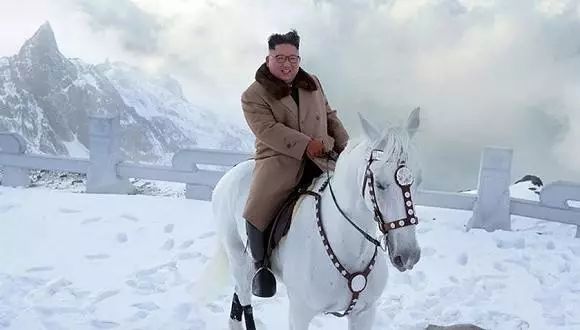 白马踏雪山金正恩座骑大有来头｜除了帅气人类为何钟情白马？
