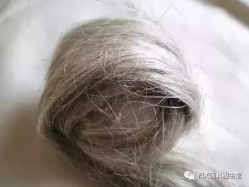 能用来制作面料的植物知多少？（下）