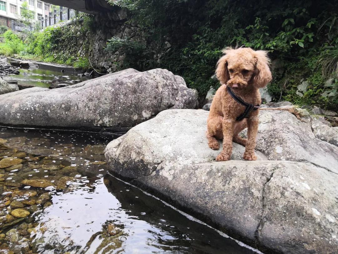 我要去旅行英文,我要去旅行完整版