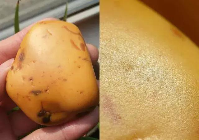 黄沁籽料的皮色和毛孔,籽料毛孔皮色怎么鉴别