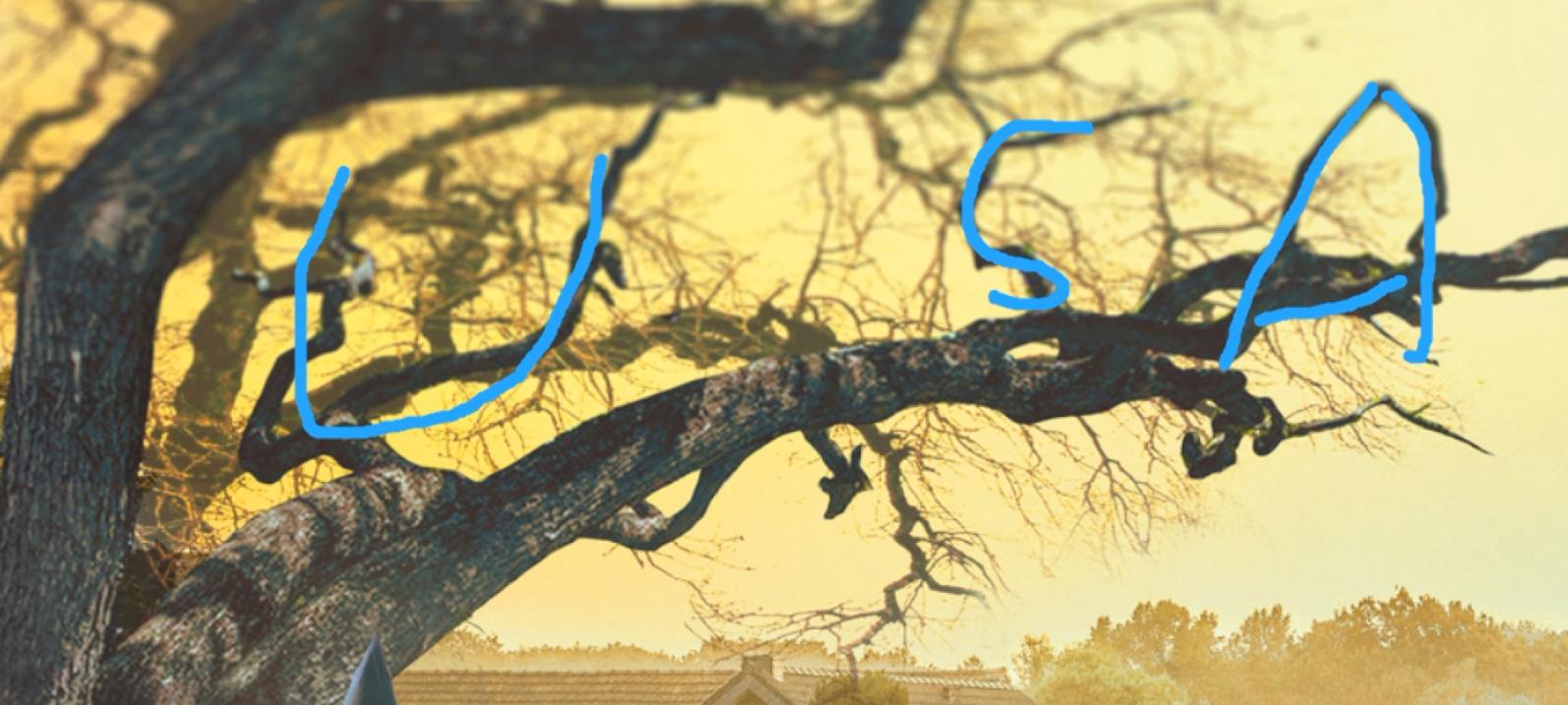 乌合麒麟事件起因,乌合麒麟血棉解析