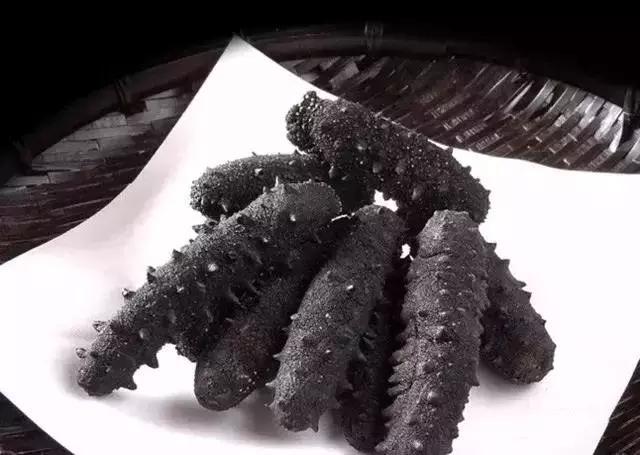 海参的高级介绍,海参营养丰富可你真的了解海参吗