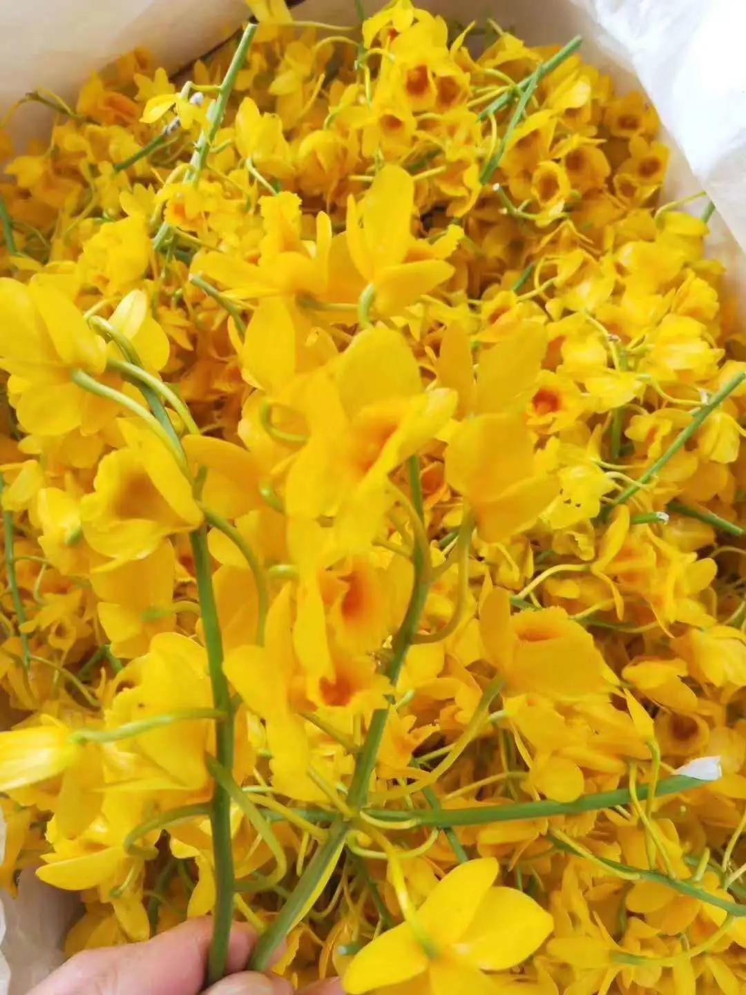 2022年野生菌什么时候大量上市 (山里的野菌样品及价格)