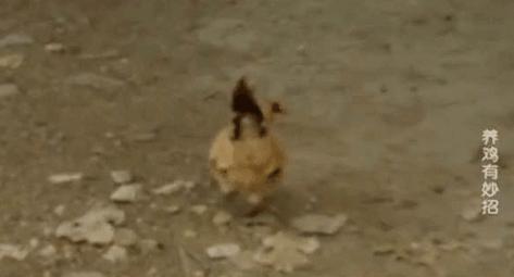 手搓长续航潜水艇,手搓潜水艇