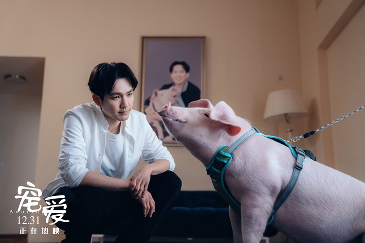 2天冲3亿《宠爱》魅力何在：看完钟汉良的猪，我想起了我家的狗
