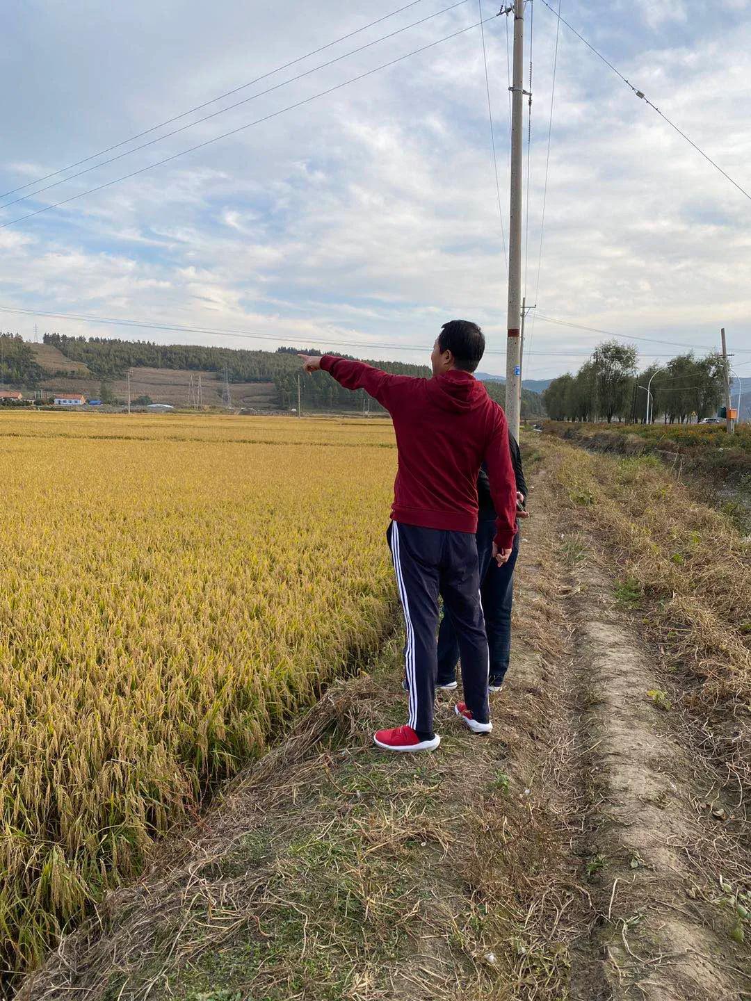 秋收诗词100首,秋收诗