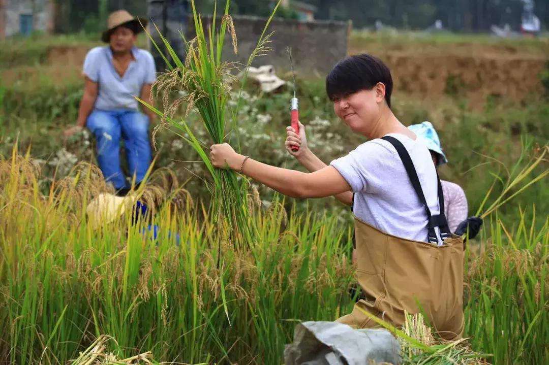 这辈子没看过这里，上帝都会觉得可惜！随手拍都是一幅画