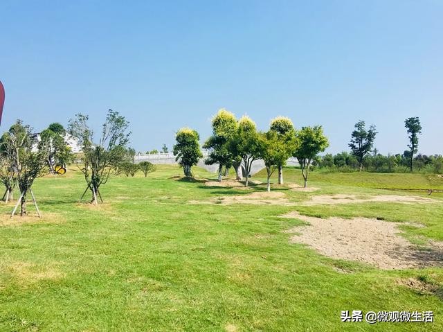 生活中你是什么样的性格,害羞的人有哪些心态