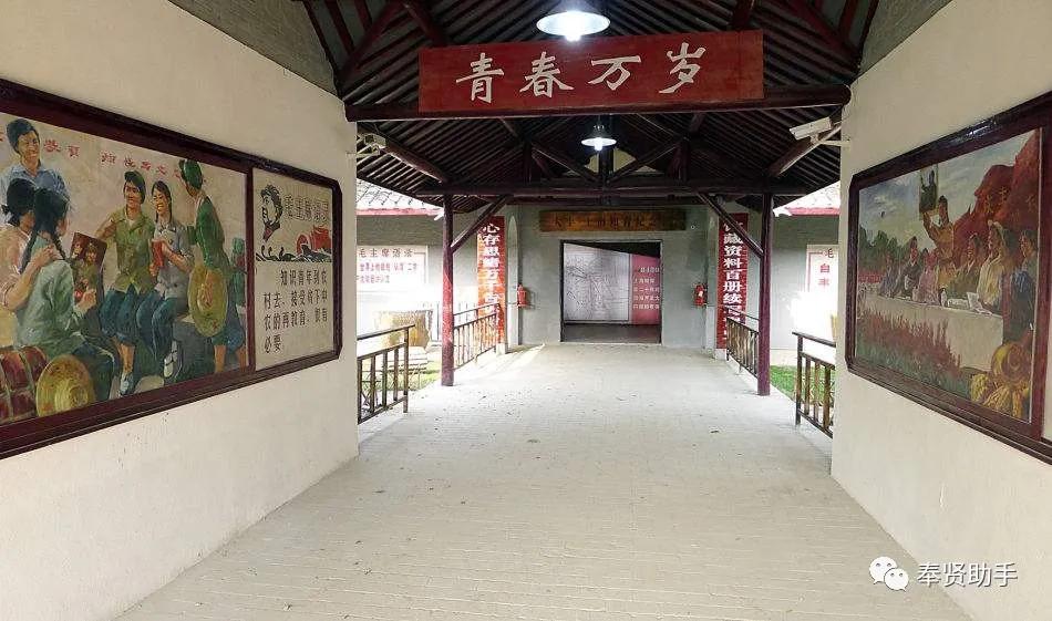 奉贤区南桥镇旅游景点,上海奉贤景点推荐一日游最佳路线