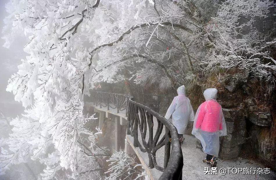 猝不及防,2020进度条已拉到50%!下半年最佳旅行时间表出炉,在最合适的时间去遇见对的风景吧