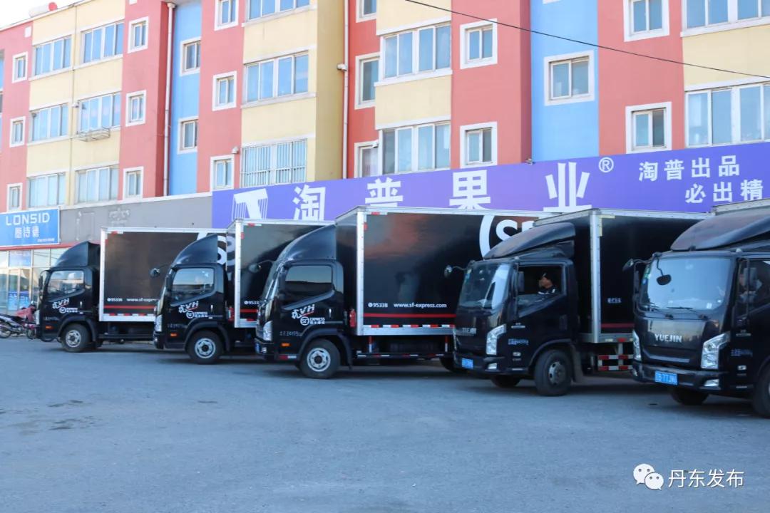 东港草莓栽种视频,东港草莓怎么管理怎么施肥