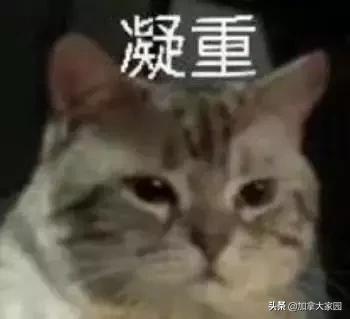 从中国寄包裹到加拿大,寄往加拿大的包裹收不到如何查询