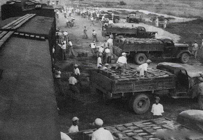 上海商人战时卖假药,建国初期上海假药案件