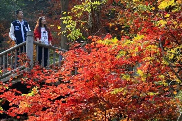 济南旅游景点推荐带孩子玩,济南旅游景点推荐适合带孩子