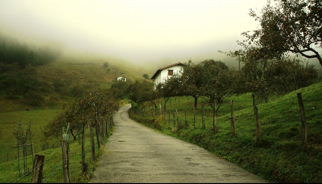 country为什么可以翻译国家和乡下 (country国家和乡村的区别)