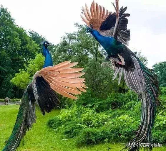 今天2.1，2月第1天，谁编的，太好笑了，给群里乐一乐~