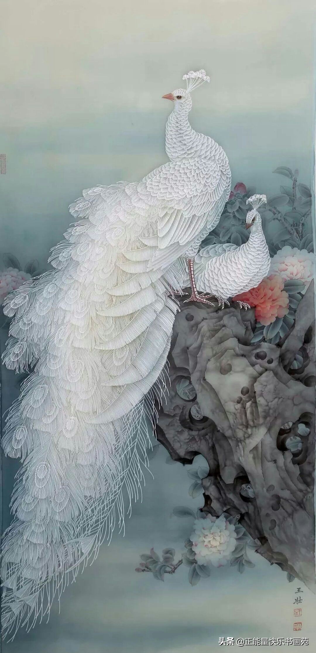 孔雀工笔画入门教程步骤图,白孔雀工笔画图片大全大图