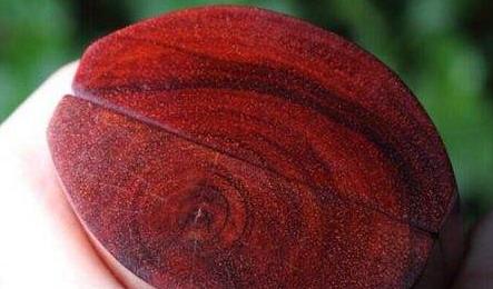 一字之差的区别有多大,一字之差价格竟然天壤之别