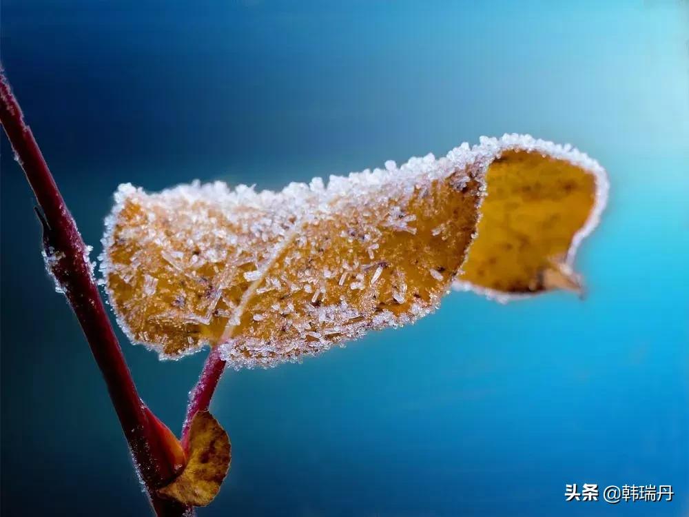 饿其实是养生吗,饿是养生方法吗